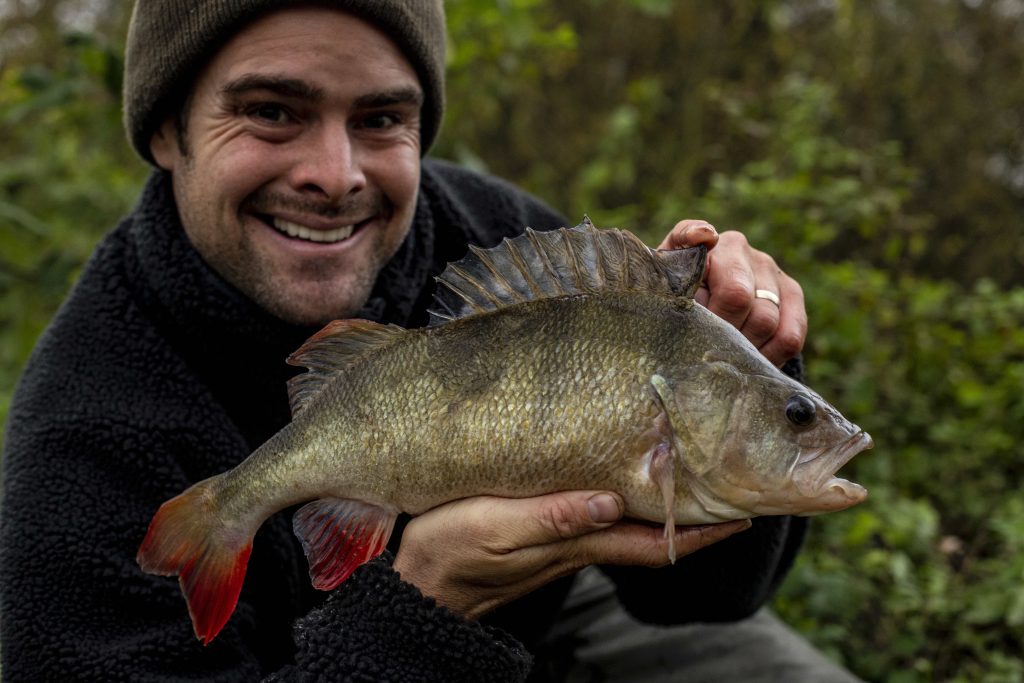 Winter Perch Fishing 2020 - Gilly