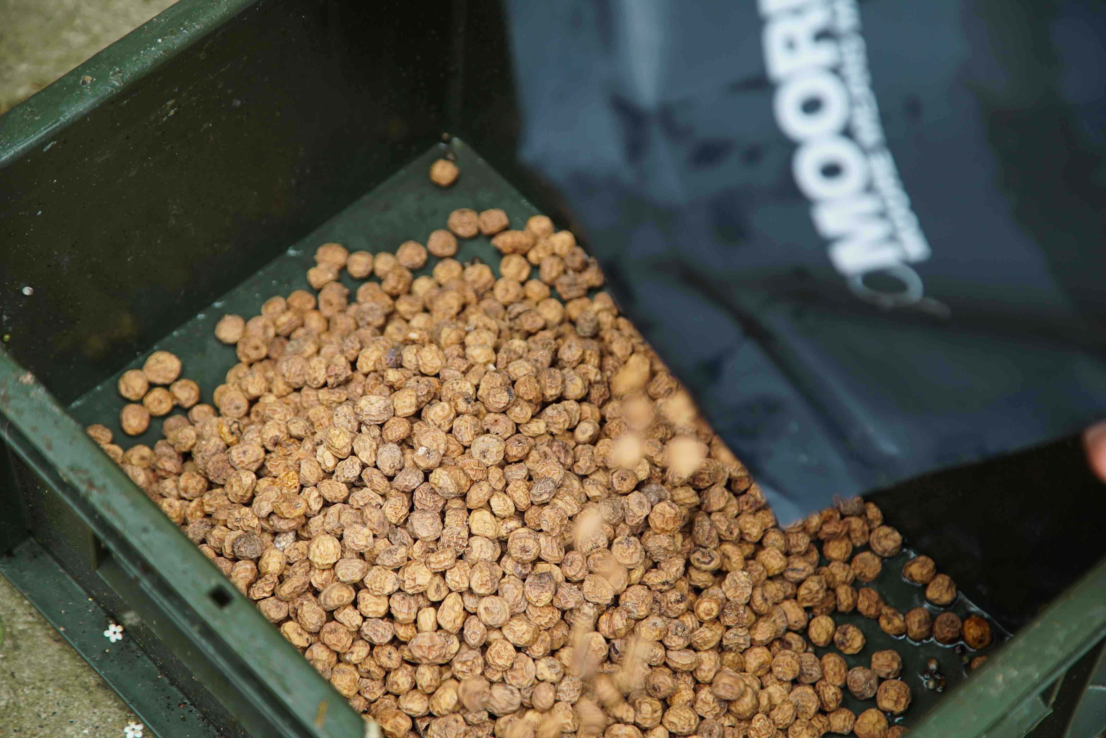 How to prepare tiger nuts for carp fishing bait no soaking or