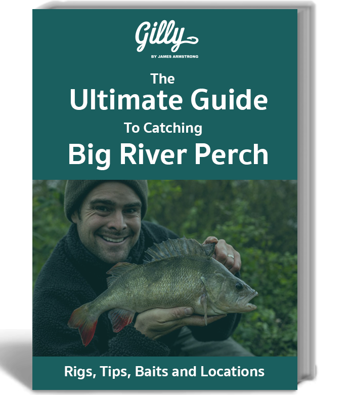 Fishing Books - Carp, Perch, Rigs and More